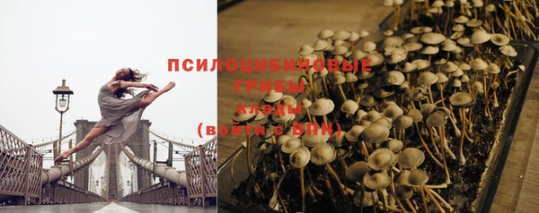 дживик Киреевск