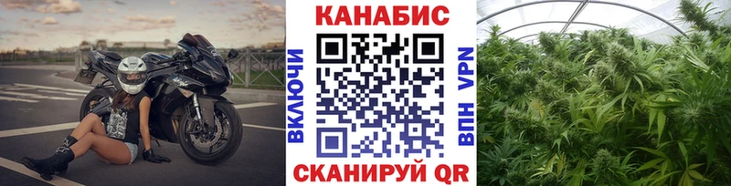 Шишки марихуана марихуана  Купить где  Кимовск 